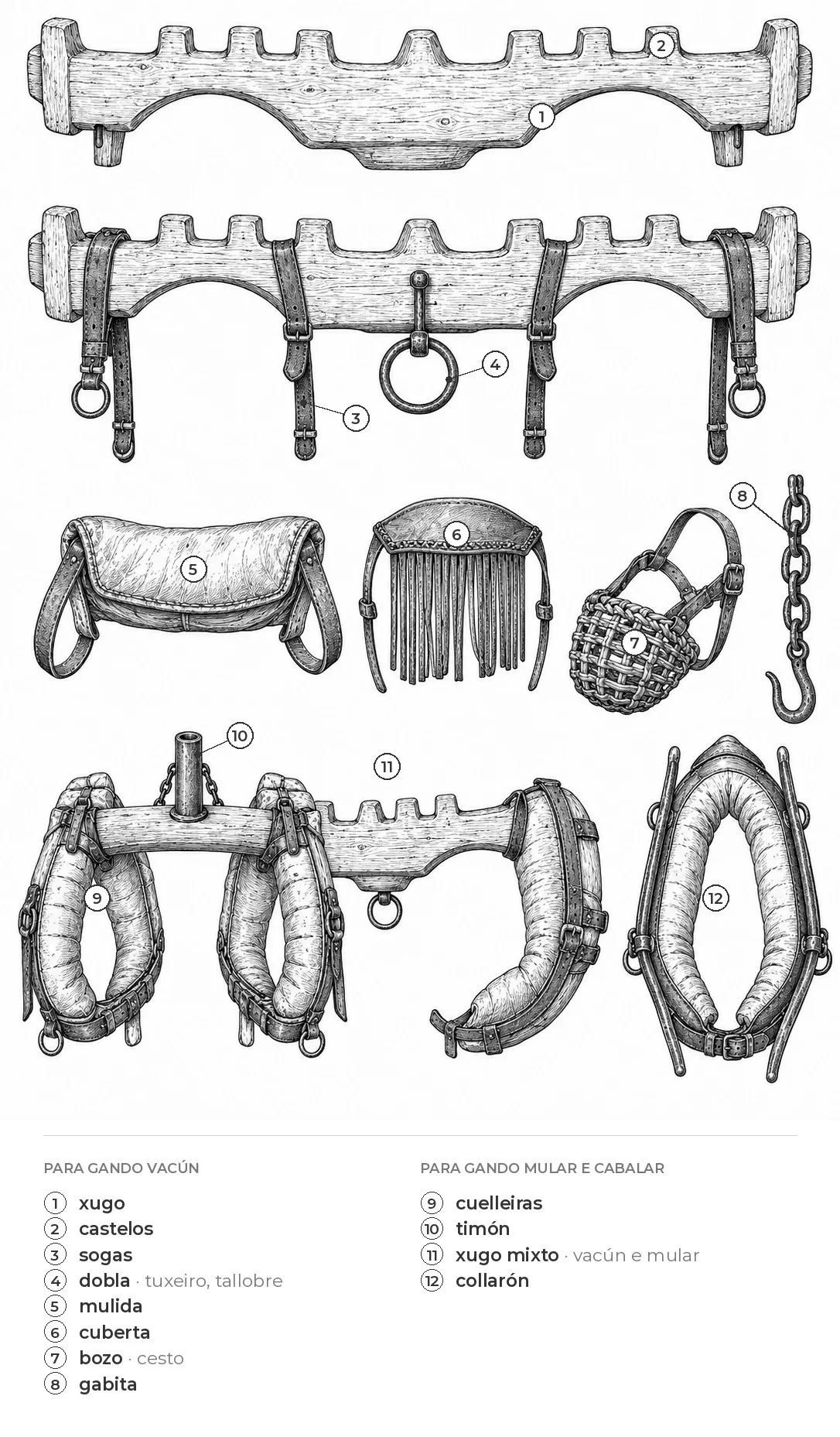 Xugos e complementos