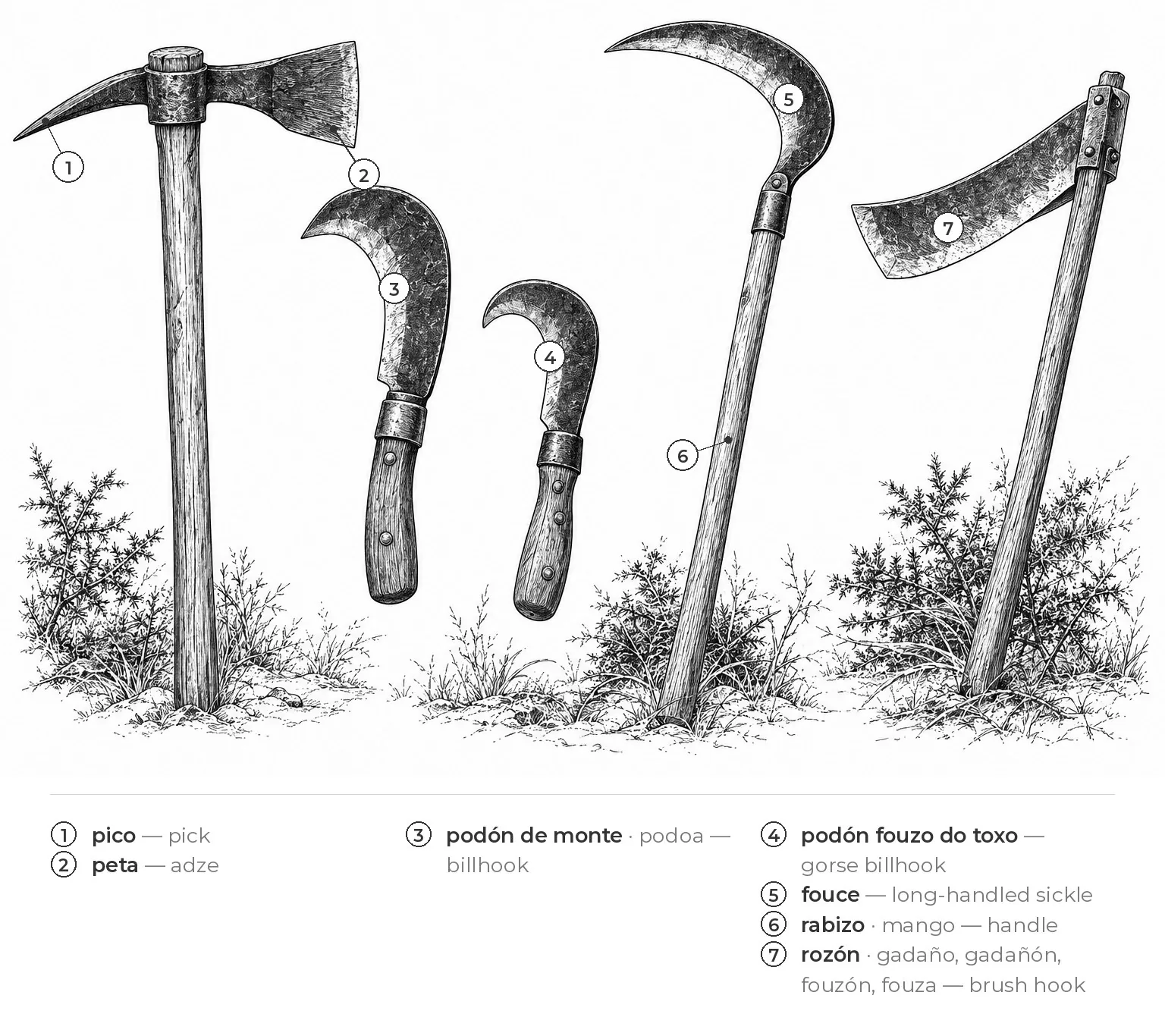 Tools for the hillside