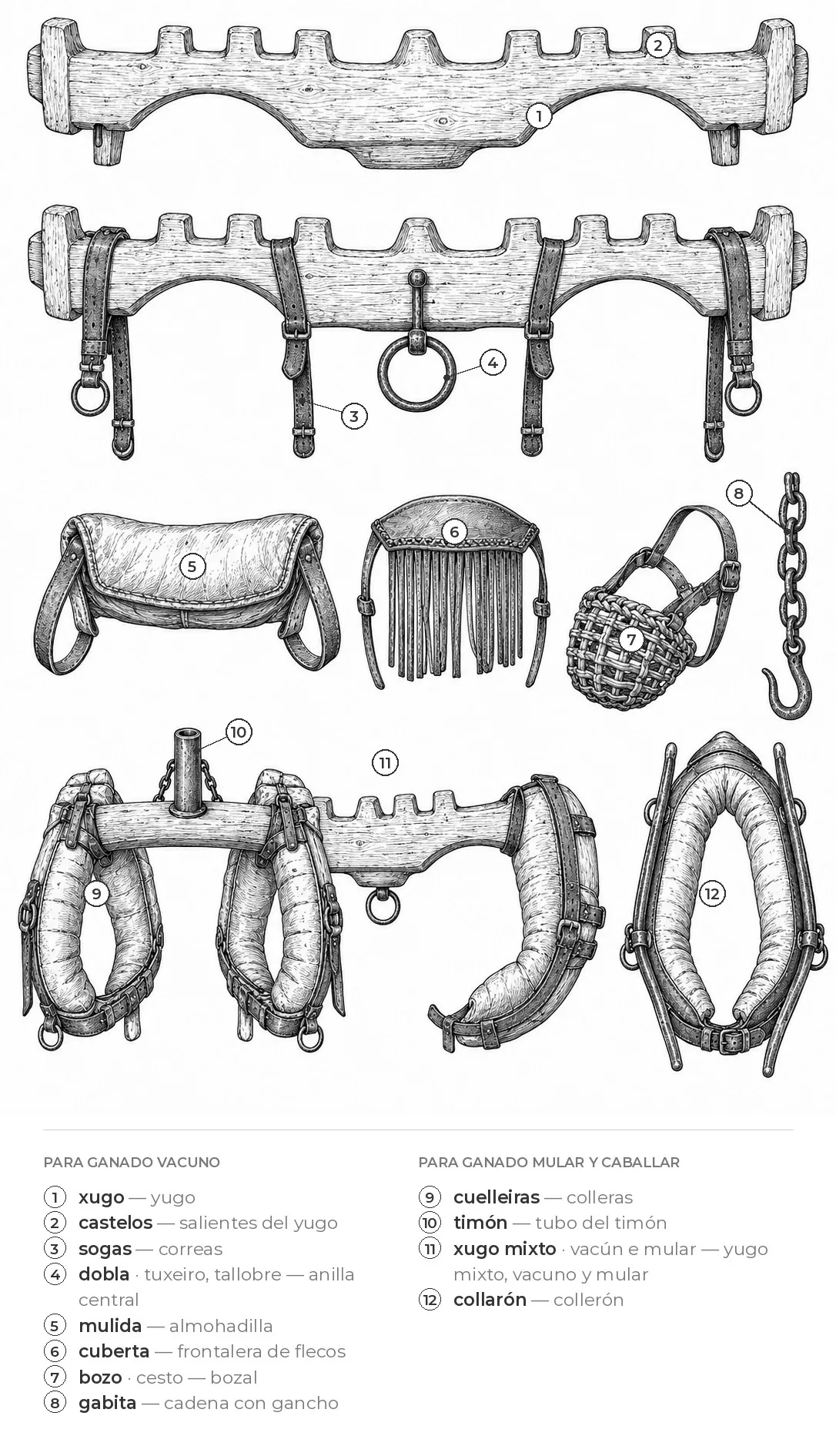 Yugos y complementos