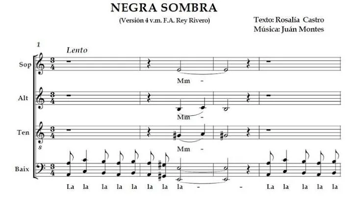 Negra sombra
