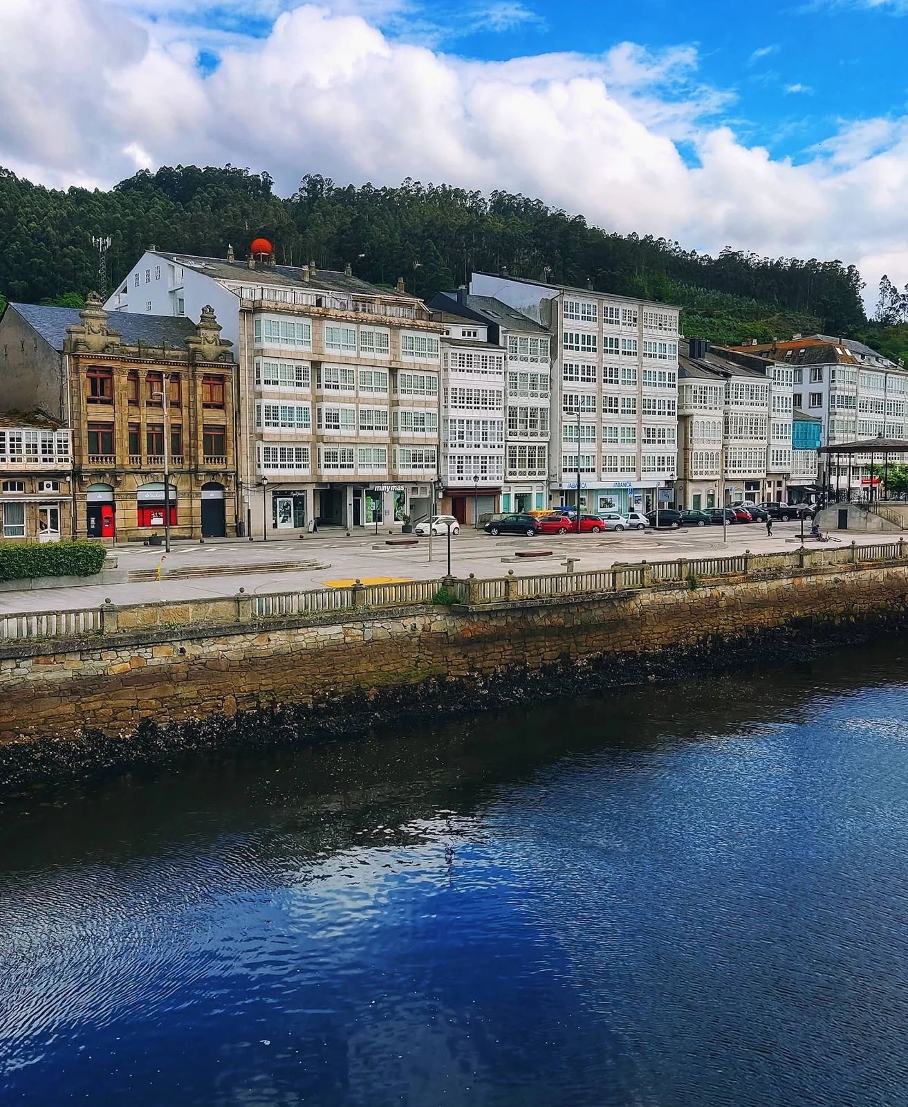 Viveiro