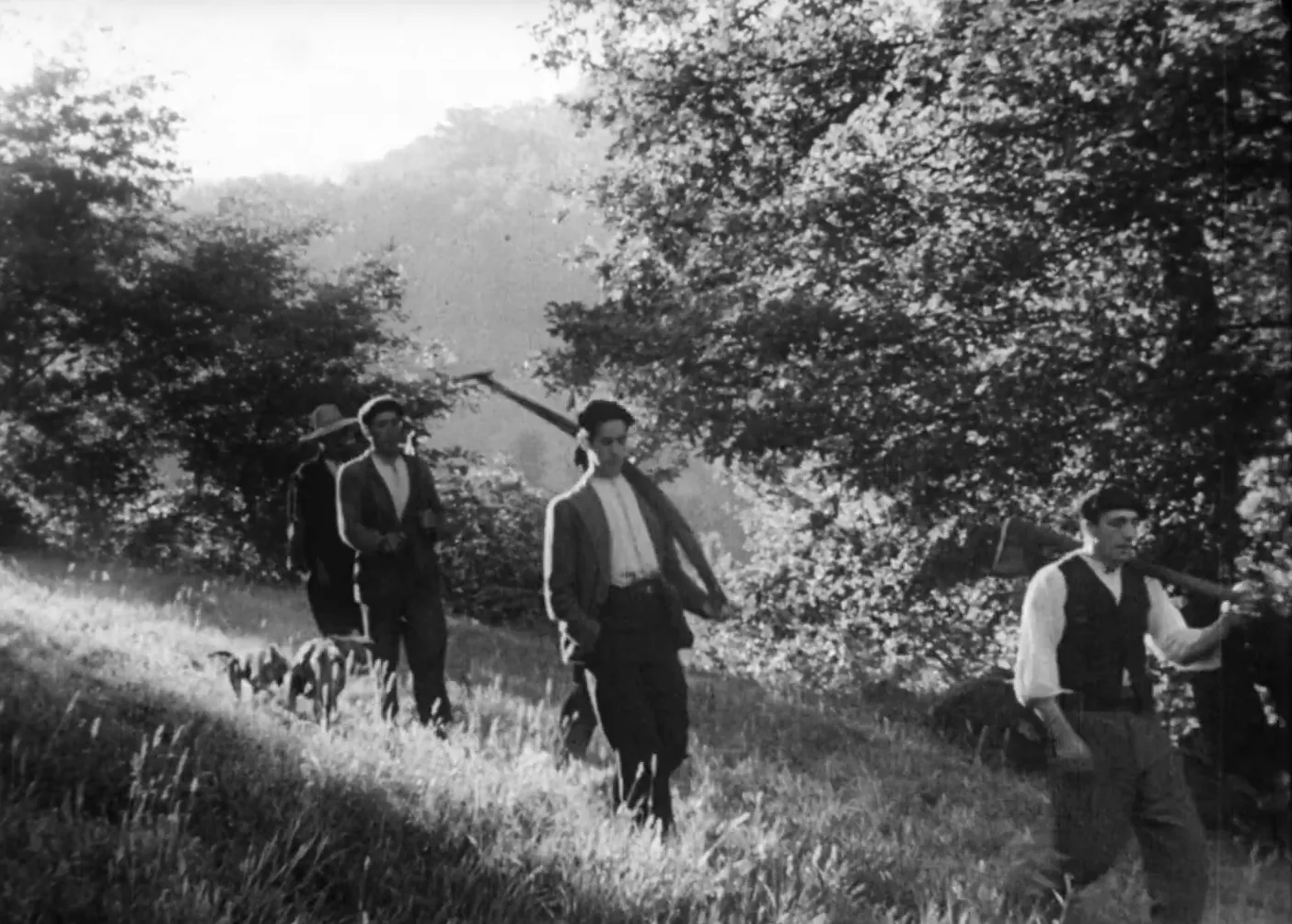 A la muntanya: els homes van a triar el roure